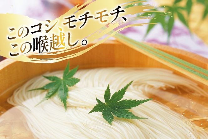 AJ442 島原手延べそうめん 8kg 160束 1箱 [ そうめん 素麺 島原そうめん 手延そうめん 島原 セテラ 長崎県 島原市 ]