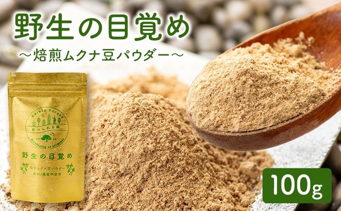 野生の目覚め～焙煎ムクナ豆パウダー～