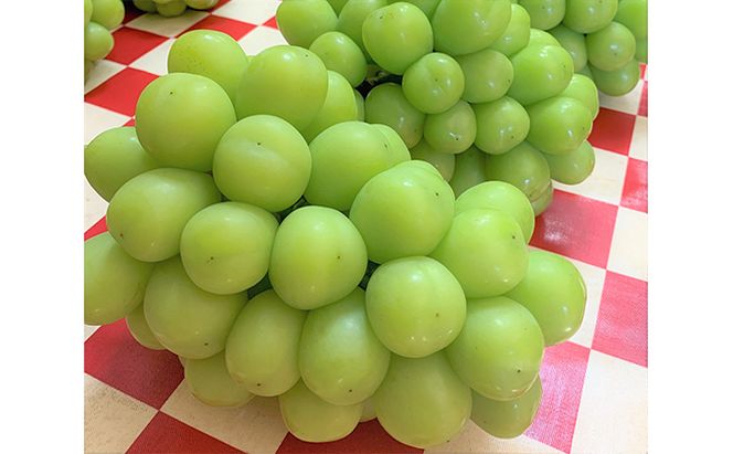シャインマスカット 約5kg 6～8房 葡萄 フルーツ 岡山 高梁市産 こあに葡萄園 2026年 先行予約 果物類 ぶどう ブドウ 