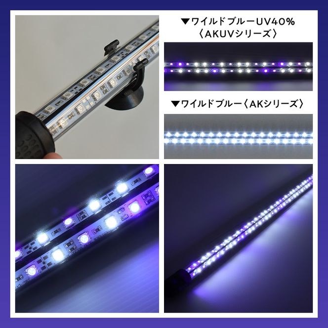 スリム&高耐久!金龍を美しく、UV-Aチップ配合の水中LED|AK-120UV-EX［172C15］藍底 金龍 ワイルドブルー 照射 水中 アロワナ UVチップ 水槽ライト テンニングライト LED ライト 照明 水中照明 光 綺麗 強化ガラス 1年保証 簡単 防水 吸盤 設置 でんらい インテリア 雑貨 愛知県 小牧市 送料無料