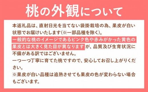 【2025年度受付分 先行予約】おかやま白桃 もも 1kg 3~5玉前後 岡山県産 ご家庭用《2025年6月下旬-9月上旬頃出荷》岡山県 浅口市 厳選出荷 白桃 黄桃 白鳳 清水白桃 おかやま夢白桃 川中島白桃 白皇 黄金桃 果物 フルーツ---124_c366_6g9j_23_9500_10---