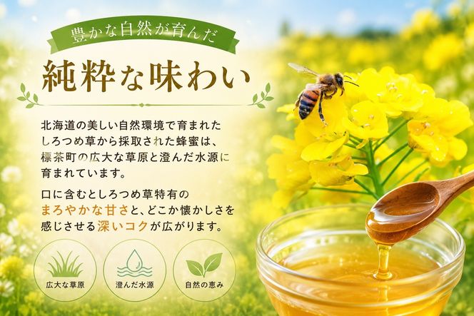 ＜北海道標茶産＞しろつめ草の蜂蜜　300g×2本　計600g【 はちみつ しろつめ草 蜂蜜 天然 甘味料 国産 標茶町 北海道 】 016641_AE001