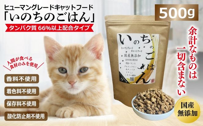 099H3598 国産無添加 キャットフード 500g「いのちのごはん」タンパク質 66％以上配合タイプ【猫 ねこ ペットフード チキン 手作り ヒューマングレード 国産】