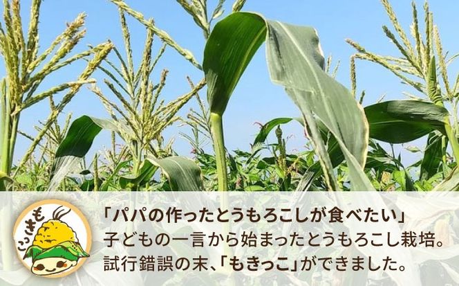 【先行予約】糸島産 トウモロコシ 「もきっこ」 黄 (5本前後) 【2026年6月下旬以降順次発送】糸島市 / 内田農業 とうもろこし コーン [AZH004] とうもろこし トウモロコシ 野菜 コーン スイートコーン BBQ バーベキュー