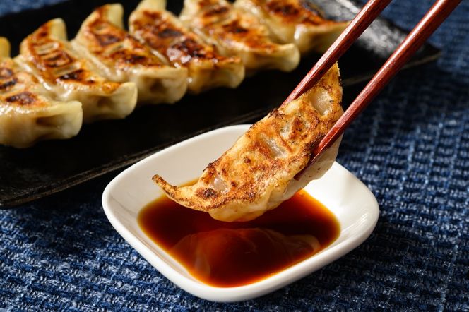 冷凍 生餃子 肉屋の餃子（45個入り） 1パック