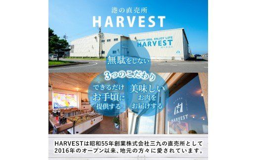 九州産！骨付き豚モモ(約6～7kg) 国産 豚肉 骨付き 豚もも モモ ブロック 真空 生ハム加工 丸焼き【三九】akn006-06