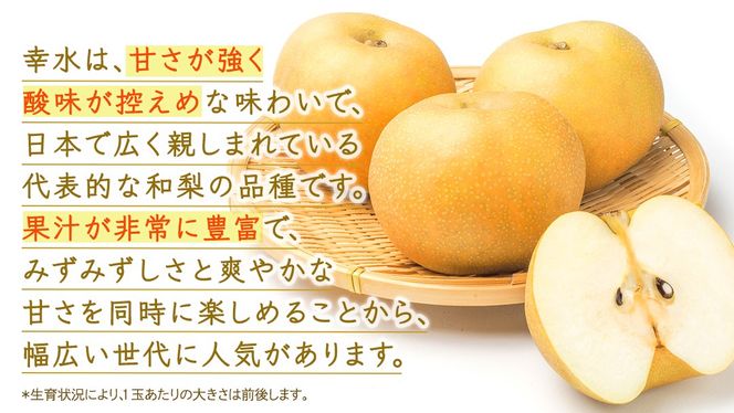 ＼選べる 内容量／幸水 約3kg・約5kg【2026年8月より発送開始】（茨城県共通返礼品 [梨]：大子町産） 高糖度 ギフト 贈り物 プレゼント フルーツ なし ナシ 和梨 梨 果実 旬のフルーツ お取り寄せ くだもの 果物 みずみずしい