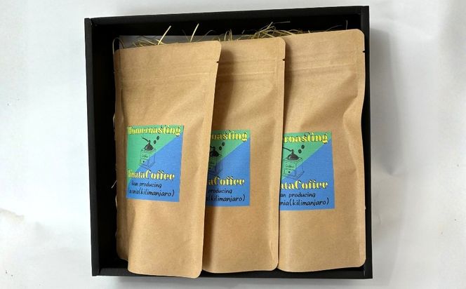 【3カ月定期便】コーヒー 豆 粉（タンザニア キリマンジャロ 中煎り 中細挽き）100g × 3個セット | ミディアムロースト ギフトBOX付き コーヒー 珈琲 自家焙煎 ひなた珈琲 幸田町 送料無料