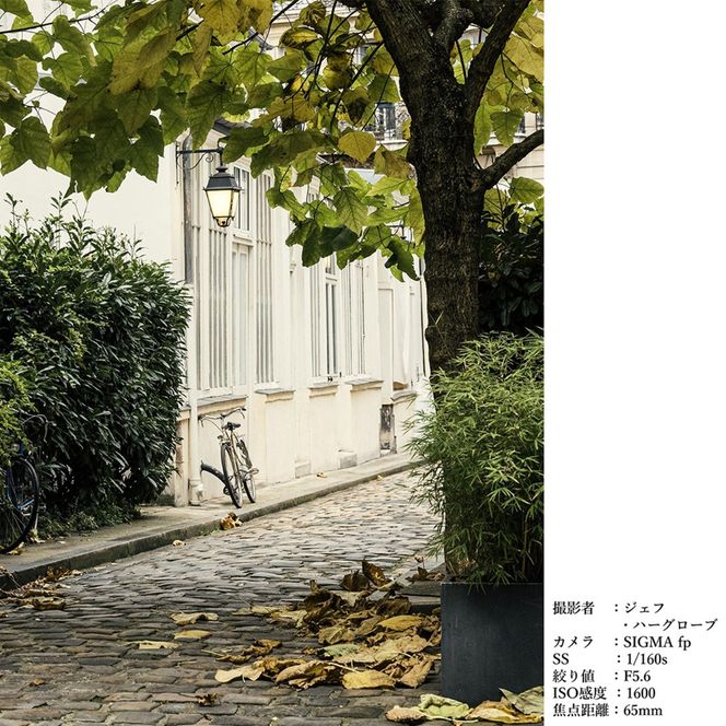 SIGMA 65mm F2 DG | Contemporary【Lマウント】（ブラック）
