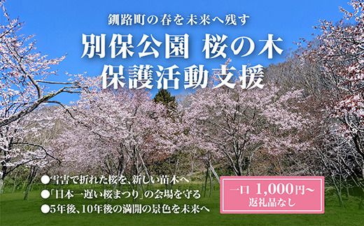 【返礼品なし】別保公園 の桜を雪害から復活させたい ｜「日本一遅い桜まつり」応援寄附（1口 1,000円〜） さくら 桜 桜の木 植樹 別保公園 北海道 釧路町 釧路超 寄付 支援 応援 共感型sakura01