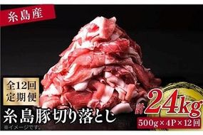 【 全12回 定期便 】 糸島 豚 切り落とし 2kg ( 500g × 4P ) 糸島 【幸栄物産】 [ABH022]