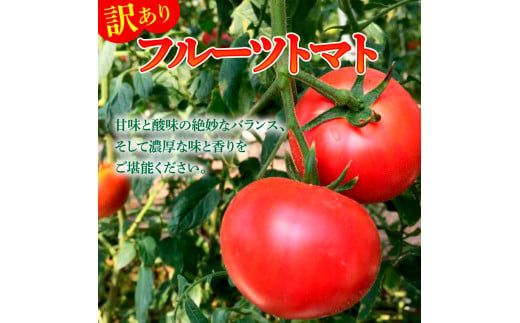 【先行予約】フルーツトマト 訳あり 約2kg <2027年1月〜発送> / 大小混合 2キロ トマト とまと ふるーつとまと 高知 桃太郎 完熟 糖度8度以上 濃厚 野菜 料理 サラダ マリネ おいしい 新鮮 食品【池トマト】[BQAG053]