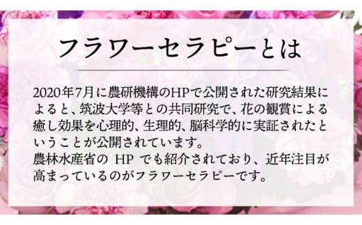 【 12ヶ月 定期便 】 癒し の フラワー セラピー アレンジメント Lサイズ お花 花 はな アレンジ リラックス リフレッシュ ストレス [CT128ci]