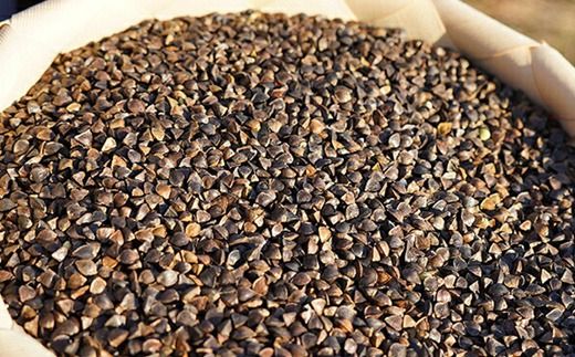 【定期便：全9回】【最果てそば】有機原料十割そば8人前（200g×4袋）【30019】