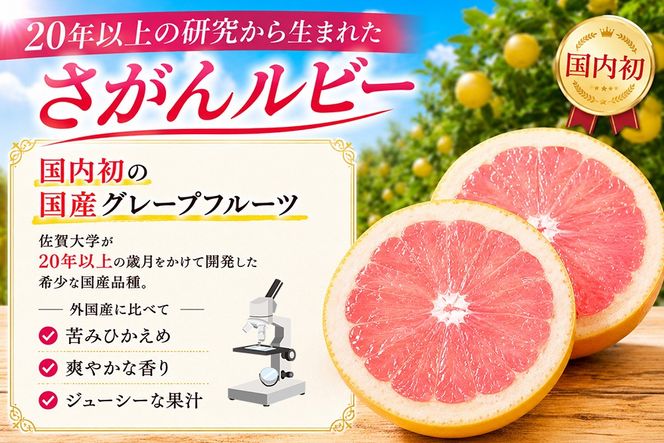 【2027年3月中旬より発送開始】さがんルビー 5kg(グレープフルーツ)【柑橘 フルーツ デザート ジューシー リフレッシュ】(H116149)