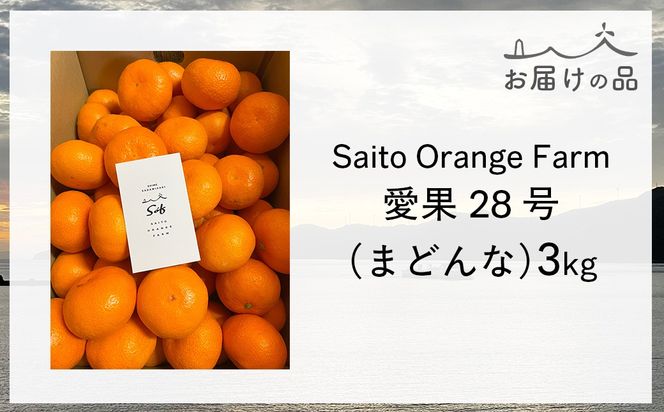 【先行予約】【数量限定】Saito Orange Farmの愛果28号（まどんな）3kg（2026年1月下旬頃より順次発送） IKTAQ017