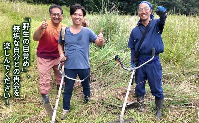 野生の目覚め～焙煎ムクナ豆茶ティーバッグ～　ムクナ お茶 健康茶