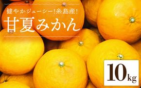 健やかジューシー・夏の味 糸島産甘夏みかんM〜L玉・約10kg 二丈赤米産直センター[ABB006]
