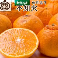 ［先行予約］家庭用 不知火10kg+250g（傷み補償分）［デコポンと同品種・人気の春みかん］［わけあり・訳あり］ CZ147