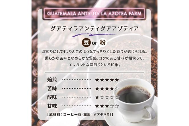 グアテマラアンティグアアゾティア(豆) 【0097-016-1】