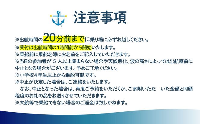 白鳥大橋主塔登頂クルーズ 標準コースチケット 大人1名様 MROX007