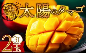 ＜宮崎県産完熟マンゴー 太陽のタマゴ 3L 合計2玉＞入金確認後、2025年7月初旬迄に順次出荷【選べる 個数 内容量 大きさ サイズ 国産 かんじゅく とろける 果物 果実 フルーツ 南国 芳醇 甘い 旬（株）ワールドワイドトレード 宮崎県 国富町】【b0958_ww】