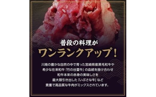 【訳あり】宮崎県産黒毛和牛　川南町産黒毛和牛切り落とし500g×2パック 【 宮崎県産 牛 牛肉 黒毛和牛 切り落とし 】[D05312]