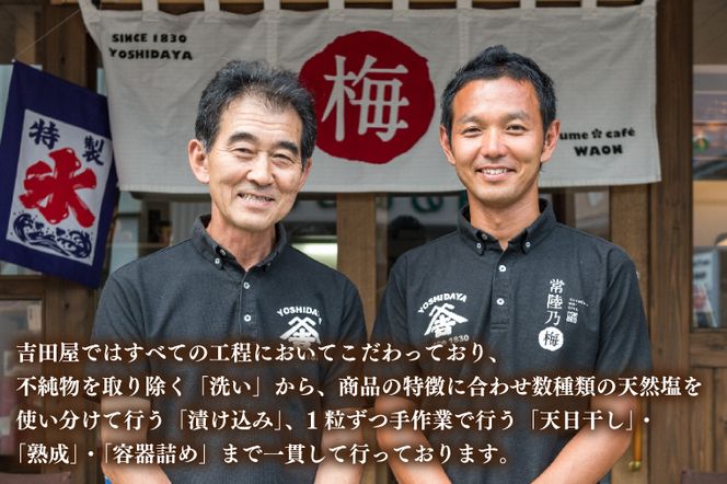 こだわりの梅干八代目 1.2kg 南高梅 無添加 減塩 昔ながら 老舗 伝統 国産 大洗 大洗町 梅干し 梅干 梅 うめぼし うめ