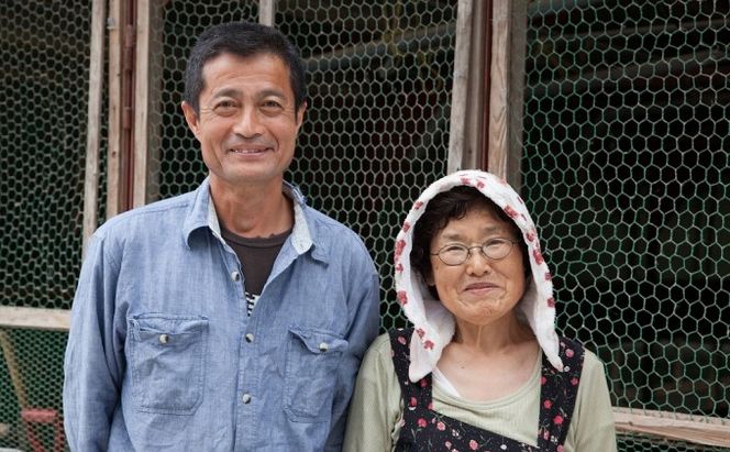 はかた地どり水炊きセットＢ 鍋セット水炊き 鶏肉水炊き ※配送不可:離島