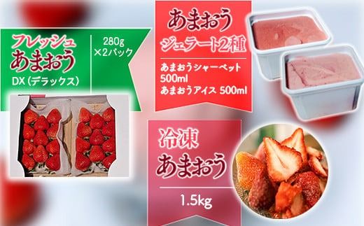 【期間限定発送】 いちご 定期便 贅沢セット フレッシュあまおう & 冷凍あまおう & ジェラート 2種 [THE FARM_strawberry 福岡県 宇美町 um40azo780005] アイス イチゴ 苺 フルーツ 果実 甘い 小分け