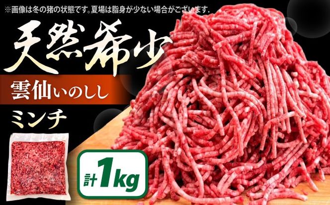 猪肉 ミンチ 1kg 雲仙いのしし / ひき肉 肉 イノシシ ジビエ いのしし ハンバーグ / 南島原市 / もりのめぐみ[SDB012]