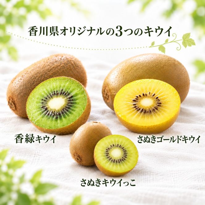 キウイ 定期便 3ヶ月 3回 キウイフルーツ 香川県産 讃岐 さぬき 約1.2kg 約1kg さぬきゴールドキウイ さぬきキウイっこ 香緑キウイ ゴールドキウイ 果物 フルーツ くだもの 10月発送 11月発送 12月発送 連続お届け 香川県 東かがわ市 46312734