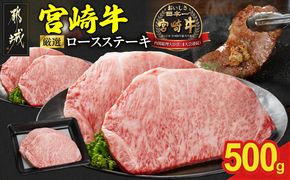 宮崎牛ロースステーキ2枚 計500g_17-N2-011-500g