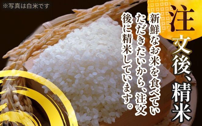 令和6年産　新米　愛知県産あいちのかおり　玄米10kg　特別栽培米　お米　ご飯／戸典オペレーター[AECT027]