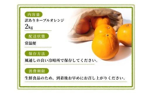 【訳あり】手選別 ネーブルオレンジ 約2kg 和歌山県産 2S~2Lサイズ混合※2026年1月上旬～2月中旬頃に順次発送【mrmt018】