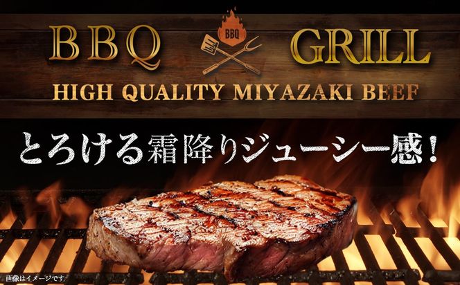 宮崎牛サーロインステーキ200g×5枚_AE-8904_(都城市) 牛 サーロインステーキ 計1キロ ステーキ カット肉 トップブランド 旨味 真空 牛肉 肉 宮崎牛 真空 サーロイン ステーキ 個包装