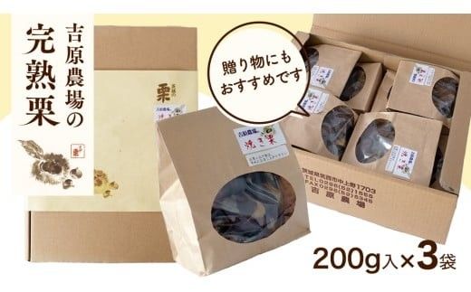 【 吉原農場 の 完熟栗 】 熟成 焼き栗 3袋 ( 200g × 3袋 ) R7年産 完熟 栗 くり クリ 栗ごはん 贈答 ギフト 果物 フルーツ 数量限定 旬 秋 冬 正月 おせち [CX020ci]