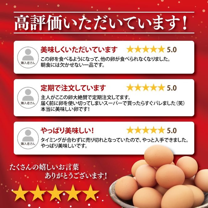 ＼2026年2月より順次配送／【定期便】黒麹育ちの赤たまご30個（年3回） 益子町 ふるさと納税 たまご 卵 タマゴ 赤たまご 人気 濃厚 食べチョク 定期便 (BC005)