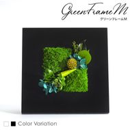 グリーンフレームM 花 お花 プリザーブドフラワー ギフト プレゼント お祝い 誕生日 お供え アレンジ インテリア 東京都 墨田区