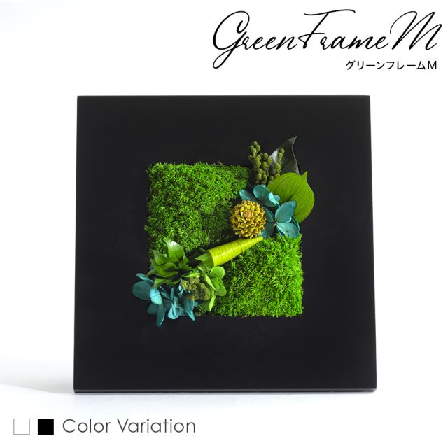 グリーンフレームM 花 お花 プリザーブドフラワー ギフト プレゼント お祝い 誕生日 お供え アレンジ インテリア 東京都 墨田区