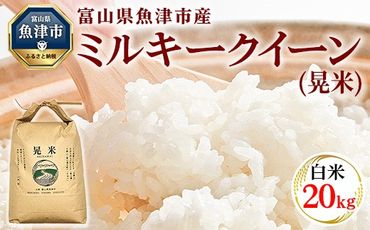 【令和6年度米】環境配慮「魚津のミルキークイーン（晃米）」20kg（白米） ｜ MK農産 白米 銘柄米 ブランド米 ご飯 おにぎり お弁当 和食 主食 国産 産地直送 甘み 香り もちもち ※2024年10月下旬頃より順次発送予定 ※北海道・沖縄・離島への配送不可