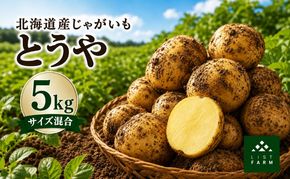 北海道 倶知安 じゃがいも とうや 5kg リストファーム サイズ 混合 馬鈴薯 芋 ポテト イモ 産地直送 野菜