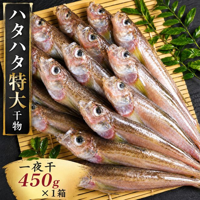 ハタハタ（特大）干物 一夜干し 450g ×1箱 魚貝類  海鮮 干物 おつまみ 肴 ハタハタ 酒 myz02 myz11 myz17
