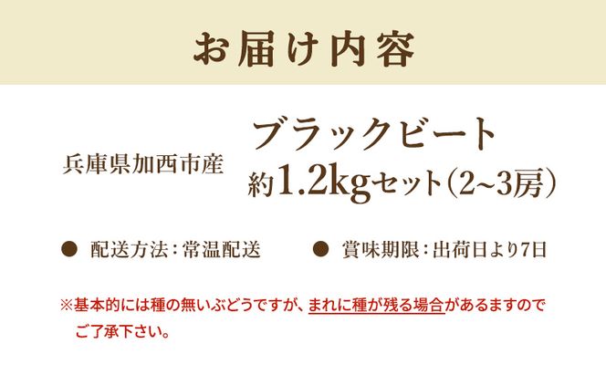 【令和8年産】ブラックビート 2～3房 セット  ぶどう 種無し 皮ごと 兵庫県産 大粒 農家直送 果物 果物類 フルーツ デザート ブドウ 詰め合わせ 甘い 粒 糖度 巨峰