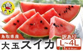 1115.鳥取県産 大玉スイカ 訳あり 1玉 6-9キロ前後L-4L（こちらの返礼品は、大栄西瓜ではありません） 313726_CK001