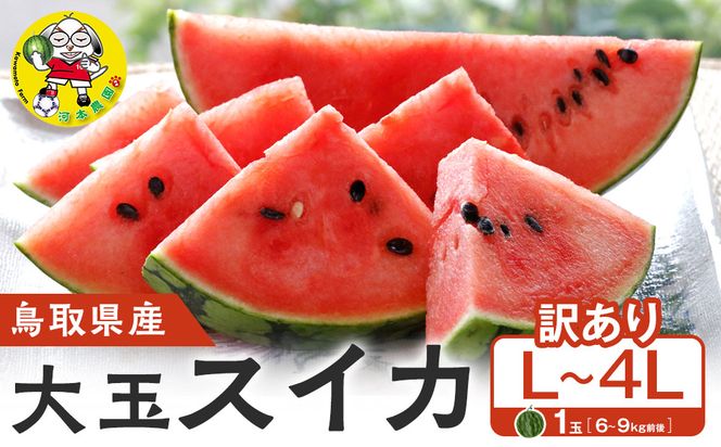 1115.鳥取県産 大玉スイカ 訳あり 1玉 6-9キロ前後L-4L（こちらの返礼品は、大栄西瓜ではありません） 313726_CK001