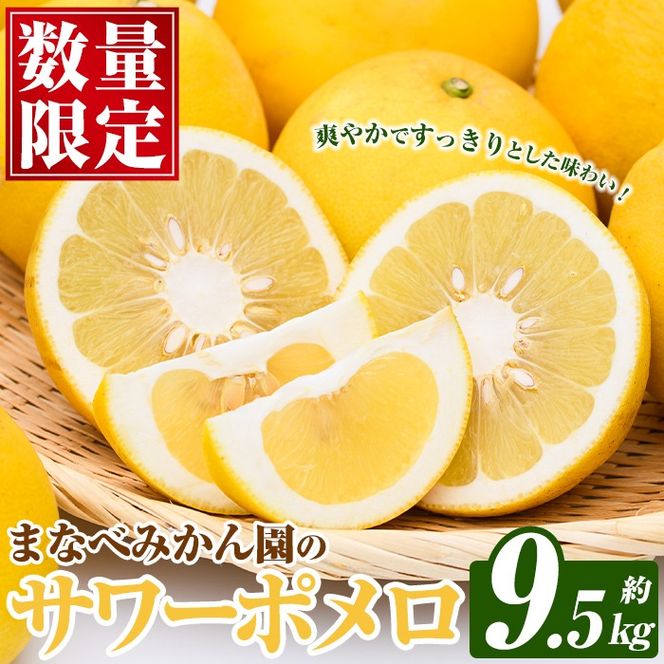 まなべみかん園のサワーポメロ (約9.5kg) 国産 鹿児島県産 阿久根市産 柑橘類 みかん ミカン 蜜柑 果物 フルーツ サワーポメロ 期間限定 数量限定 贈答用 ギフト デザート 【有限会社まなべみかん園】akn034-07