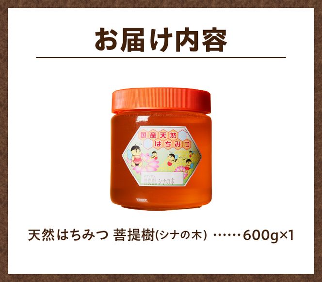 【北海道滝川産】高見養蜂場の純粋はちみつ(菩提樹、シナの木600g×1本)｜国産 日本製 天然 無添加 純粋 非加熱 生はちみつ ミツバチ ハニー 栄養 健康 美容 ビタミン ミネラル 抗生物質 プロポリス アミノ酸 濃厚 ギフト 贈答