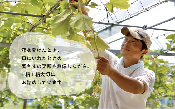 厳選した桃と大粒のシャインマスカットが届く満足便！２回便 (定期便)(岡山県産)【KF-T036-01】
