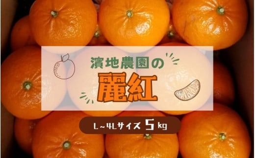 L～4Lサイズのいずれか 濵地農園の麗紅(れいこう) 約5kg【2025年2月初旬から2025年3月初旬までに順次発送】 / みかん ミカン 蜜柑 れいこう 麗紅【mha003A】